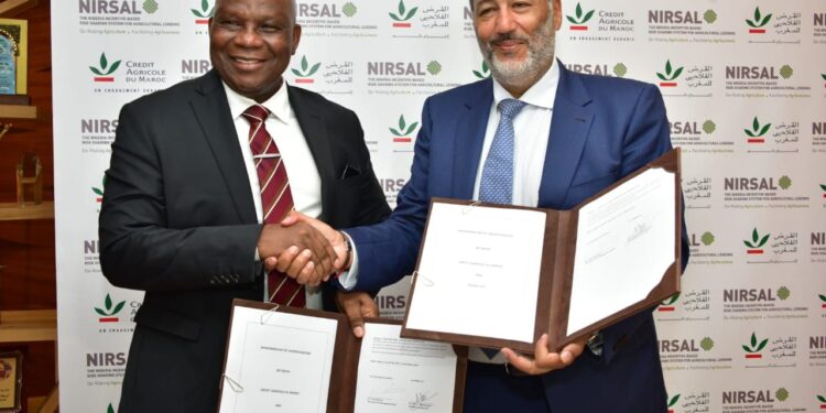 Excitement As NIRSAL Rekindles Partnership With Morocco’s Bank of Agriculture