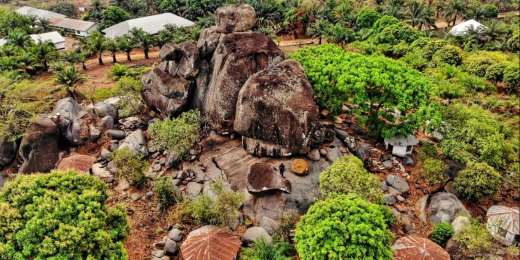 Irantiola documents Flora and Fauna of Oyo North to showcase its Tourist Potentials to the World
