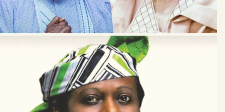 Tokunbo Awolowo: They Are Plotting To Get Rid Of Tinubu & Replace With Shettima