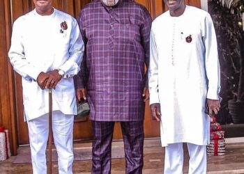 Dele Momodu Writes PDP Members “We can and we should defeat Apc “