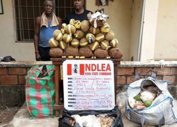 Drug War Latest! Village head, 10 others arrested over 991,320 opioid pills, 1,251kg skunk