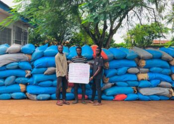 4 Wanted Drug Kingpins Arrested By NDLEA In Lagos and Abuja With Over 16 Tons of Drugs