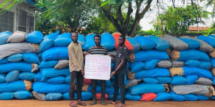 4 Wanted Drug Kingpins Arrested By NDLEA In Lagos and Abuja With Over 16 Tons of Drugs
