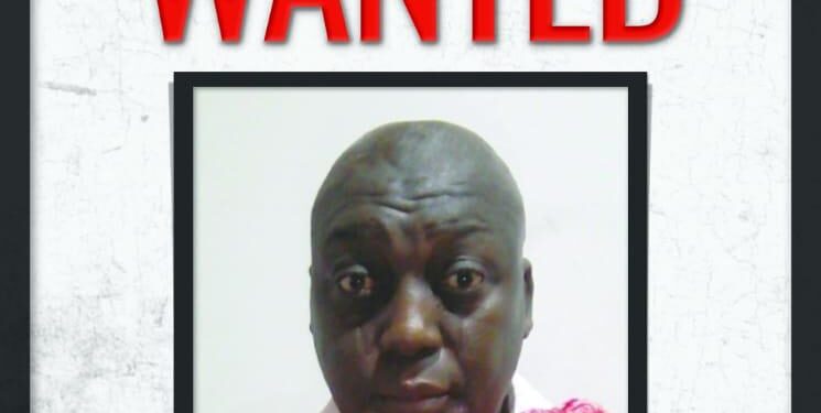 NDLEA declares Lagos drug baron, Adekaz wanted, arrests kingpin behind cocaine shipments