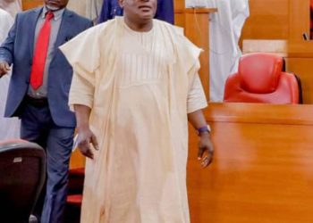 Bill On Surrogacy And Human Fertilisation: Stakeholders commend Lagos Assembly,make contributions