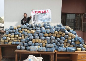 Xmas Colorado, cannabis juice consignments intercepted at Lagos airport, seaport