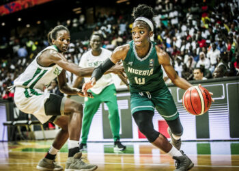 D’Tigress