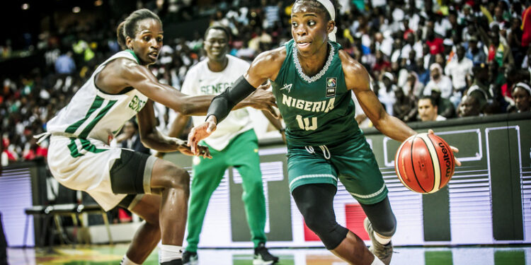 D’Tigress