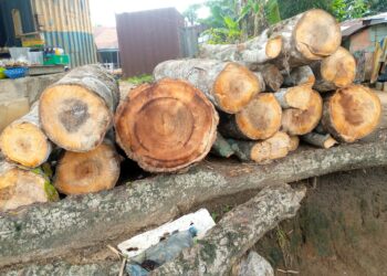Wood