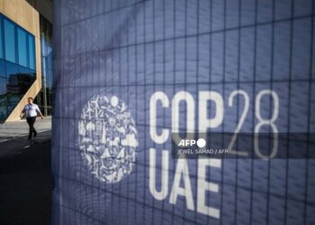 COP28