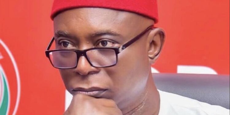 Ned Nwoko