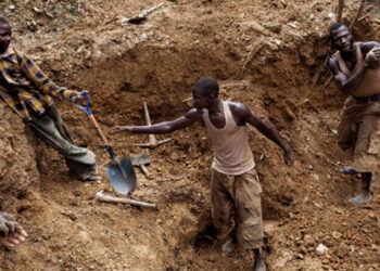 Illegal Miners
