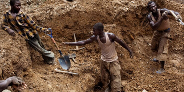 Illegal Miners
