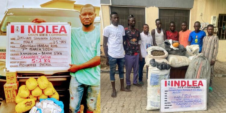 NDLEA  arrests 2 grandpas, uncovers illicit drug consignment in commercial bus engine