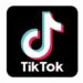 Full list of countries that have banned TikTok