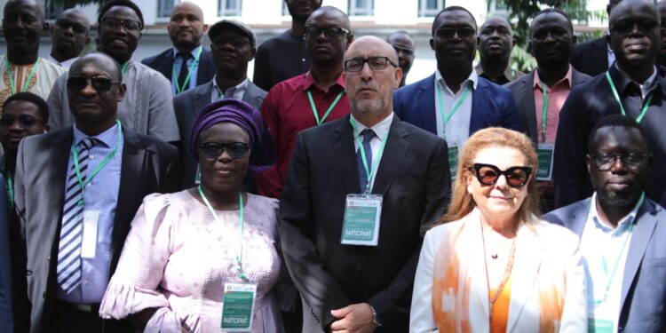 African Atlantic Gas Pipeline Project Host Government Agreement