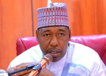 Zulum clarifies tax reform bills