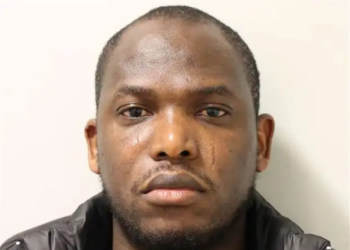 UK tribunal deportation ruling, Nigerian IVF case, Olutobi Ogunbawo, deportation appeal, Home Office immigration