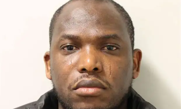 UK tribunal deportation ruling, Nigerian IVF case, Olutobi Ogunbawo, deportation appeal, Home Office immigration