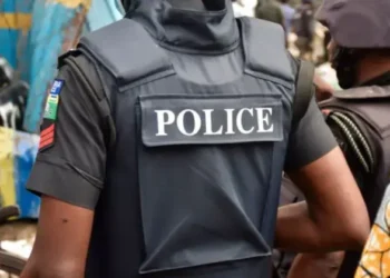 Nigeria Police Force demands Amnesty apology over #EndBadGovernance protest claims