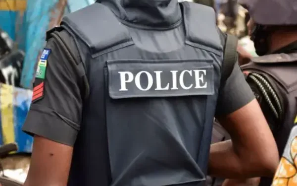 Nigeria Police Force demands Amnesty apology over #EndBadGovernance protest claims