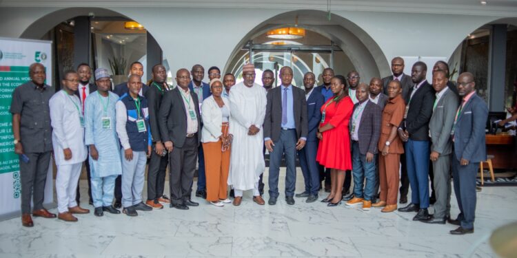 ECOWAS Energy Information System workshop