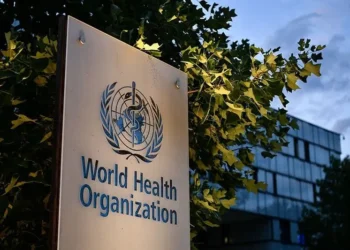 WHO meningitis guidelines