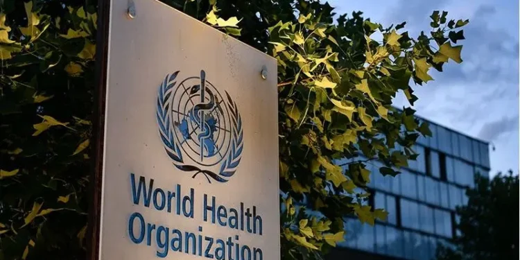 WHO meningitis guidelines