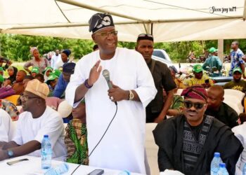 Adeleke agriculture criticism