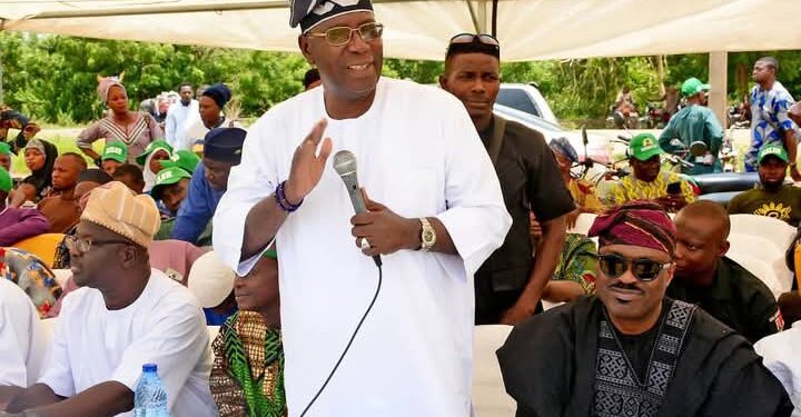 Adeleke agriculture criticism