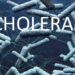 Nigeria cholera cases