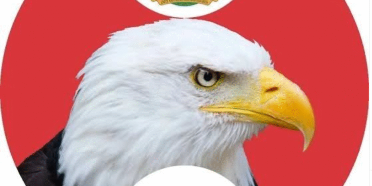 Lagos bankers EFCC fraud