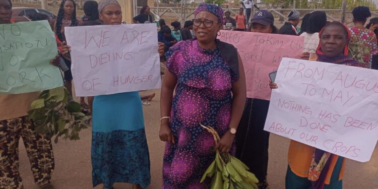 Kaduna refinery chemical pollution