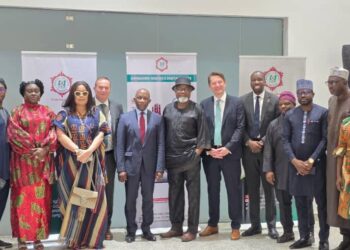 Nigeria WIPO piracy project