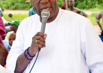 Senator Mudashiru Husain