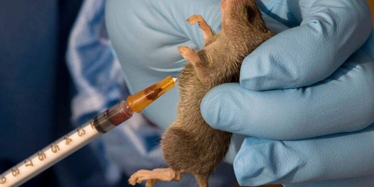 NCDC Lassa fever report