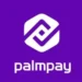 PalmPay Contactless Payments Nigeria