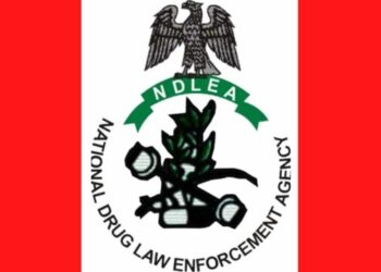 NDLEA private sector support