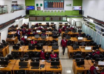 Cement Stocks Drive Rally