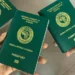 Nigeria passport reform success