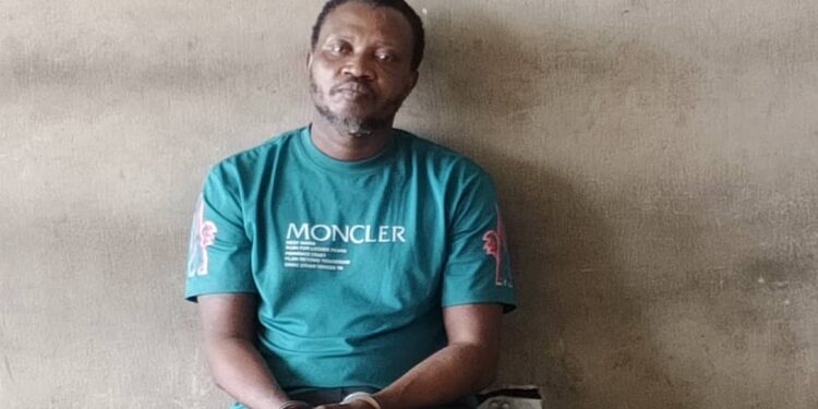 Olori Esho's Murder Case