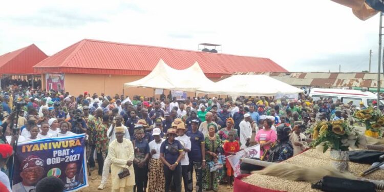 OGD commissions Renewed Hope Market