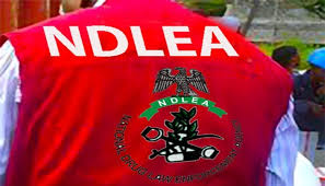NDLEA Raises Alarm Over Rising Drug Abuse Among Nigerian Youths, Warns Students to Shun Drugs