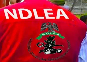 NDLEA Busts Brazilian Woman With N3bn Worth of Heroin at Abuja Airport