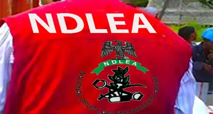 NDLEA Nabs China-Based Businessman, Two Angolans After Excreting 236 Cocaine Pellets at Airports