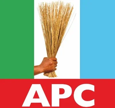 APC Takes Early Lead in FCT Council Polls Amid Low Turnout, Vote-Buying Allegations