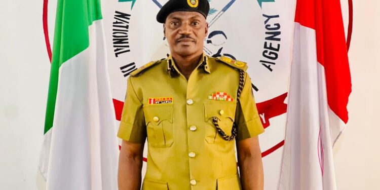 NDLEA Storms Gezawa Drug Dens, Arrests 19 in Ramadan Crackdown