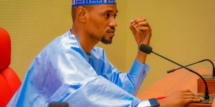 Nigerian Youth Parliament Unveils Leadership of 45 Standing Committees for Sixth Session