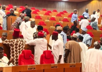 Ibadan 2027: Stakeholder Warns Against “Political Tourists,” Insists on Indigenous Representation