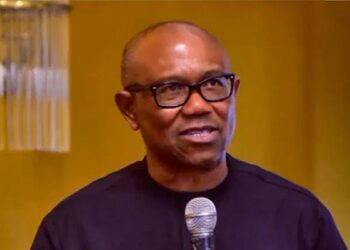 Labour Party Eyes 2027 Comeback After Peter Obi’s Departure